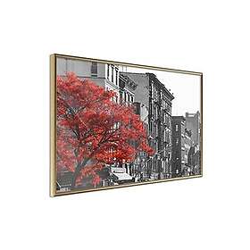 Colours Inramad Poster / Tavla Autumn II