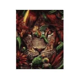 Lion Paint by numbers Tropical 40x50cm