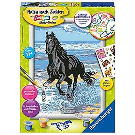 Ravensburger 285655"Horse At The Beach Painting By Numbers Set