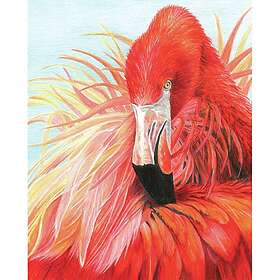 Royal Brush Color Pencil By Number Kit 8.75"X11.75"-Flamingo -CPBNK-23
