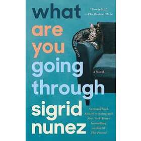 What Are You Going Through Engelska Paperback