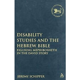 Disability Studies and the Hebrew Bible Engelska Paperback / softback
