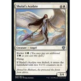Dominaria United: Shalai's Acolyte