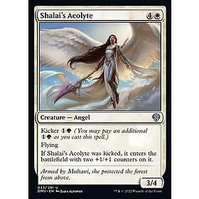 Dominaria United: Shalai's Acolyte (Foil)