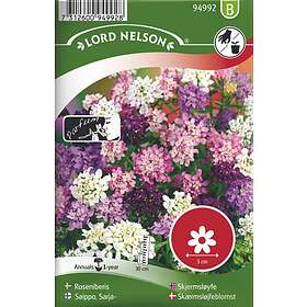 Lord Nelson Roseniberis Mix frö