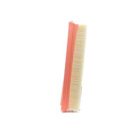 Filtron Luftfilter AP 165/6