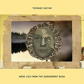 Teenage Guitar: More Lies From The Gooseberry...