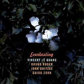 Lê Quang Vincent: Everlasting