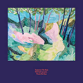 Tomorrow The Rain Will Fall Upwards: Wreck Hi...