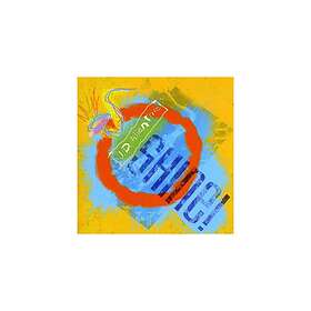 Allen JD Trio: Shine!