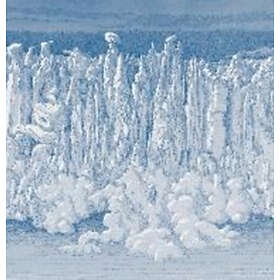 Wrekmeister Harmonies: You've Always Meant To...