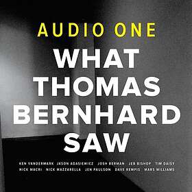 Audio One: What Thomas Bernhard Saw CD