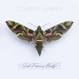 Cowboy Junkies: Such Ferocious Beauty CD