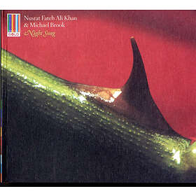 Khan Nusrat Fateh Ali & Michael Bro: Night Song
