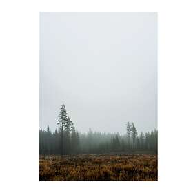 Fine Little Day Skog poster 70 x 100 cm