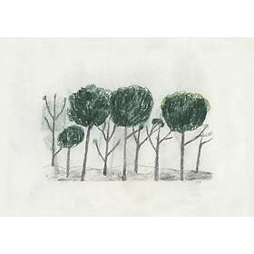 Fine Little Day Trees poster 50x70 cm Svart- off white