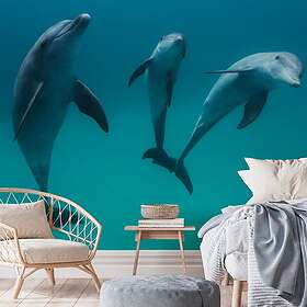 Bottlenose Dolphins Poster 30x40 cm