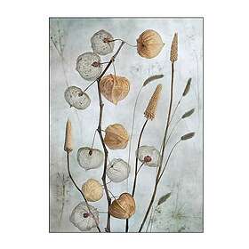 Between Lanterns Poster 30x40 cm