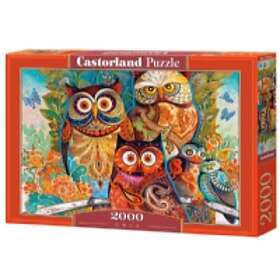 Castorland 2000