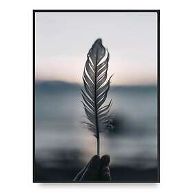 Feather Poster 30x40 cm