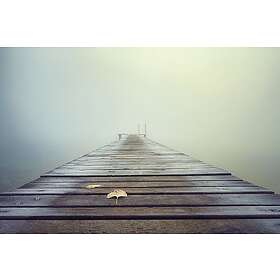 Misty Morning Poster 70x100 cm