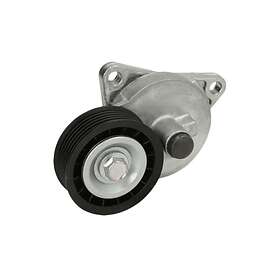 Dayco V-Ribbed Belt APV3797