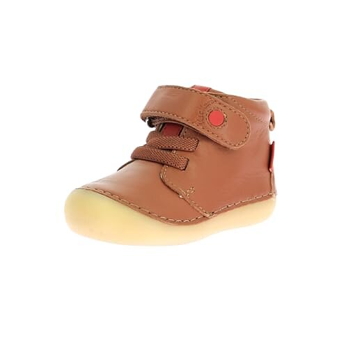 Palladium Revolt Hi Tx