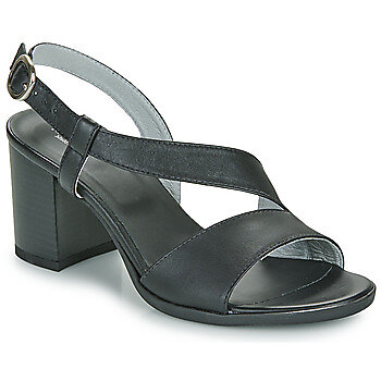 Elena Iachi E4104 Stivale Zeppa Nero