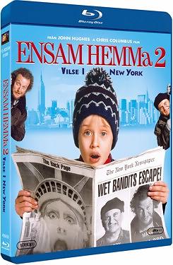 Ensam Hemma 2