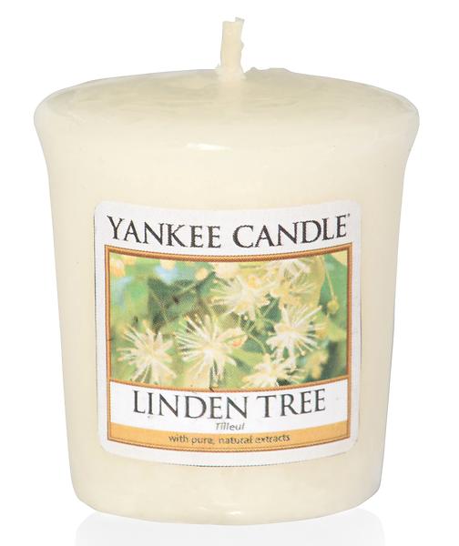 Yankee Candle Votives Linden Tree
