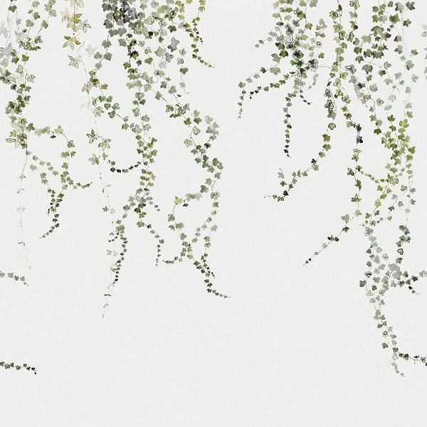 Sandberg Wallpaper Arboretum Aralia (640-04)