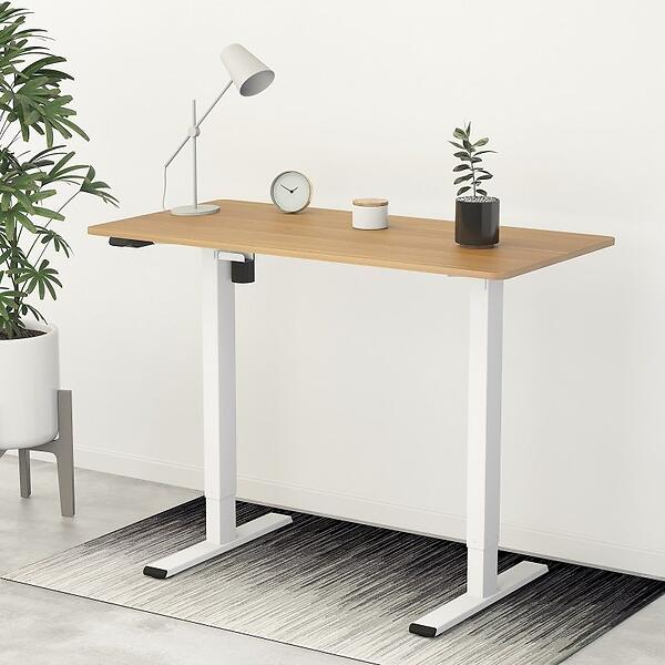 FlexiSpot Height Adjustable Standing Desk EC1 Stand  ...