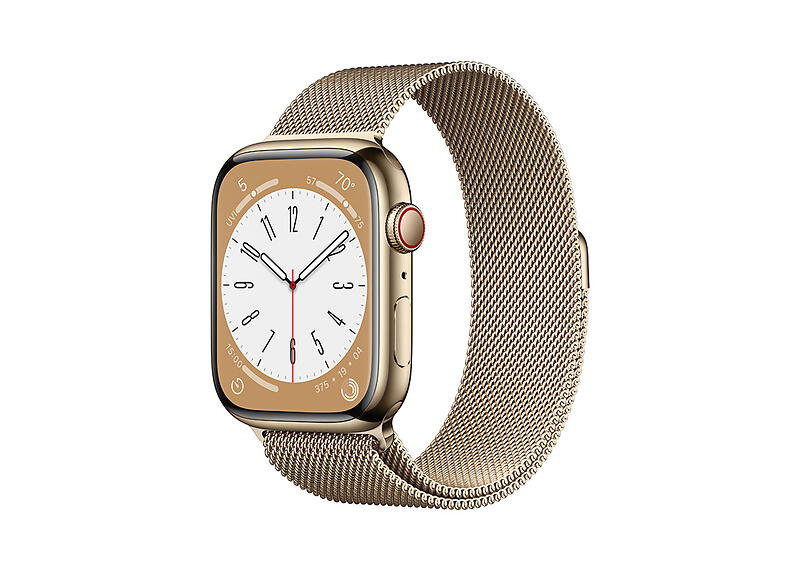 Apple Watch Series 8 4G 45mm Stainless Steel with Mi ...