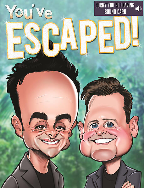 Ant & Dec Sorry You're Leaving Large Greeting Sound  ...